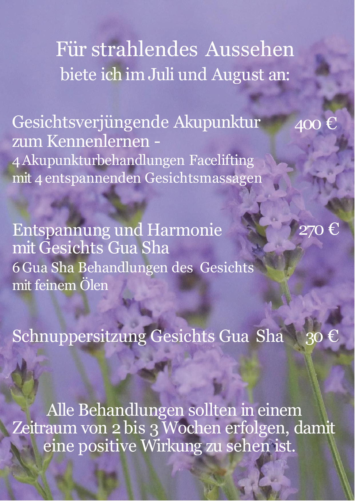 Sommerangebot hinten 2022