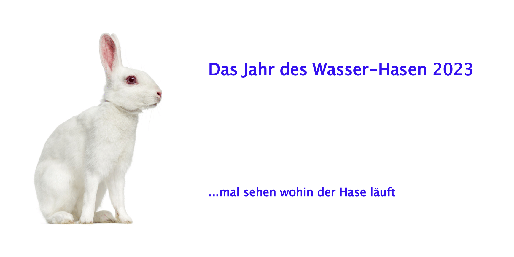 Wasserhase vorn 1